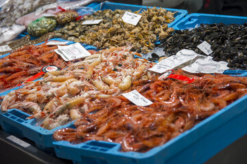 Different kinds of seafood at fish market