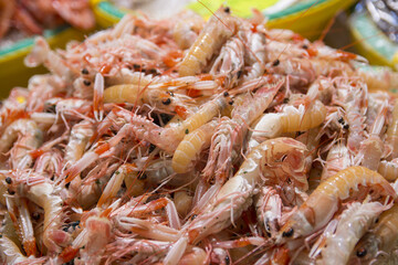 Close up view of crayfish in a seafood market healthy food