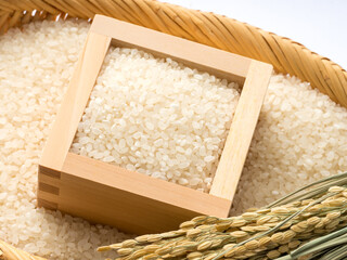 枡に入ったお米と稲穂。新米のイメージ。
