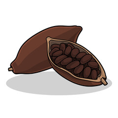 Vector illustration of cacao isolated on white background