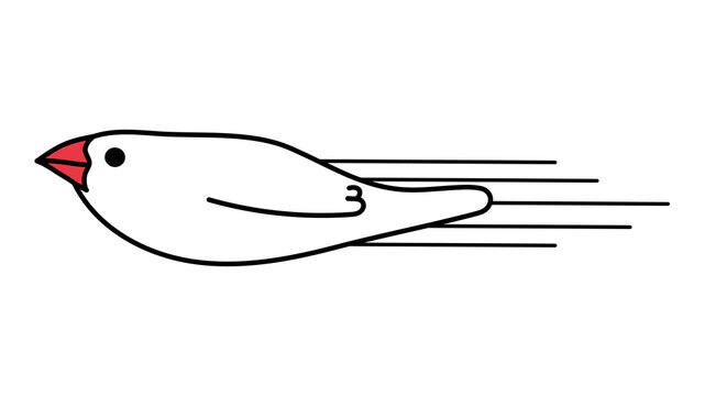 ビュンと飛ぶ白文鳥のイラスト素材　左向き