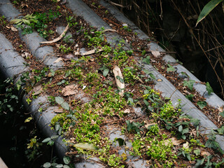 water flowing into the river
