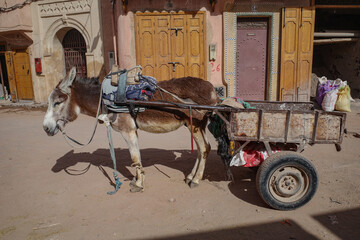 Marrakech, Morocco - Feb 10, 2023: A donkey pulls a cart through the streets of the Marrakech Medina markets