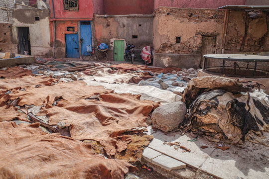 Marrakech, Morocco - Feb 10, 2023: Tanned leather pieces drying in the sun on a street in the Medina of Marrakech