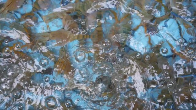river shrimp pond or cage with oxygen bubbles in clean water for raw and fresh food with iodine in market or restaurant on slow motion and top view shot