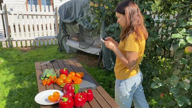 woman gardener taking smartphone photos of fresh vegetables on wooden table in summer garden