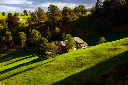 landscape with lonely house in the Black Forest