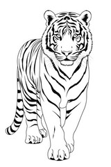 tiger coloring page illustration for kids. Generative AI