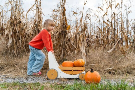 Little girl pushing children wooden wagon full of pumpkins in pumpkin patch.
