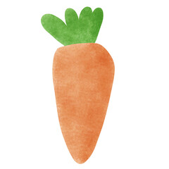 carrot on a white