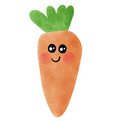 carrot on a white