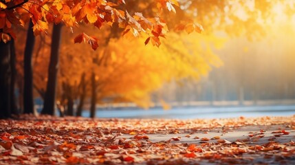 Autumn blurred background. Falling maple leaves on an autumn sunny day, a naturally blurry background. - obrazy, fototapety, plakaty