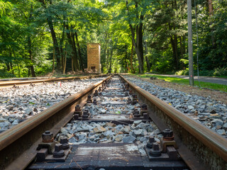 Railway line not a train in sight. The narrow gauge railway in forest. - 642882750