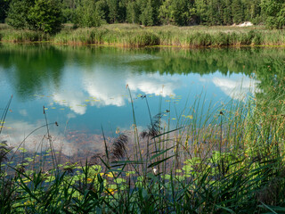 Poisoned lake in opencast mine  Muzakow, Leknica - 642882791