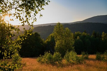 NIce piece of land, Beskydy, Czechia 