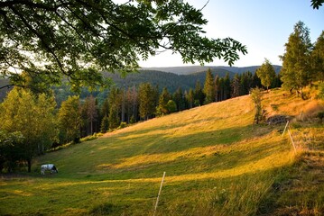 NIce piece of land, Beskydy, Czechia 