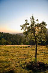 NIce piece of land, Beskydy, Czechia 