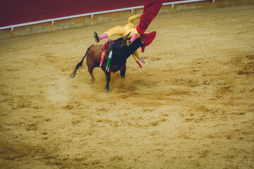 bullfighter is blown upside down in a catch by a bull during a bullfight