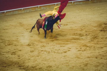 Foto op Aluminium bullfighter is blown upside down in a catch by a bull during a bullfight © Eusebio Torres