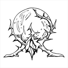 Obraz premium Hand drawn ink vector magic crystal ball for divination. Sketch illustration art for Halloween, witchcraft, occult. Isolated object, outline. Design for shops, logo, print, website, card, booklet