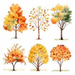Vibrant Watercolor Autumn Tree Clipart: A Delicate Touch of Nature on a Crisp White Canvas
