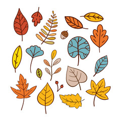 Hand Drawn Autumn Leaves Collection