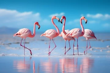 Foto op Canvas Pink flamingos bird in the lake. © Pacharee