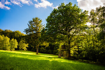 idyllische grüne Wiese, Jägerstand, Hochsitz