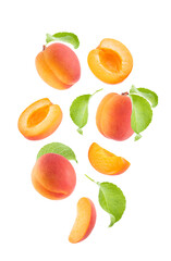 Ripe orange apricot with pink side, green leaves as flow fly or fall as art composition. Whole, half, piece fruits isolated on white background. Summer fruits for advertising, design, label product.