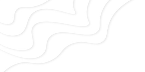 Abstract papercut shape background. pattern of geometric white and gray color elegant abstract background, white background with lines. 