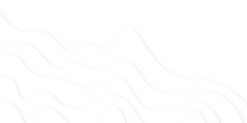 Abstract papercut shape background. pattern of geometric white and gray color elegant abstract background, white background with lines. 