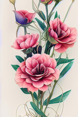 Vintage style plant with flowers with many pink petals, on a light background. Vertical image.