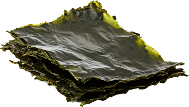 Dried nori seaweed sheets for ramen soup or sushi. Japanese food for vegans. An ingredient for Eastern cuisine. Healthy natural food isolated on transparent background.