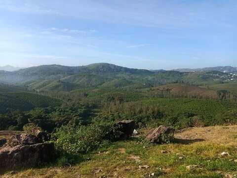 landscape in the morning