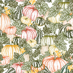 Seamless vector pattern of vegetable garden with pumpkin bushes in engraving style