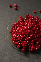 delicious ripe lingonberries on a dark background