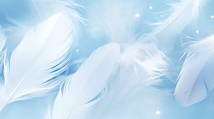 Fototapeta na wymiar white feathers on blue background