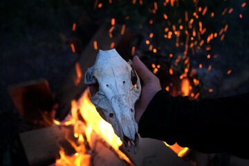 men's hand hold animal skull close up against bonfire, abstract dark natural background. esoteric spiritual ritual for Samhain sabbat, Halloween. Black Magic, witchcraft, mystical practice. - Powered by Adobe