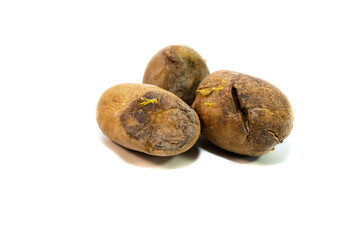 Group of boiled, cutted, rotting  potatoes isolated on white background.