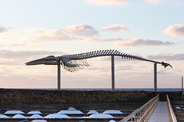 Salinas del Carmen en Fuerteventura en las Islas Canarias con una decoración del esqueleto de una ballena bajo un cielo al atardecer con nubes