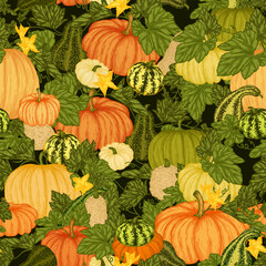 Seamless vector pattern vegetable garden with pumpkin bushes