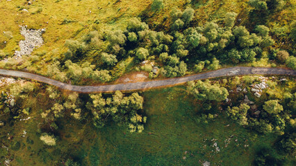 Aerial top down view of narrow road among green summer trees and fields in the Alps, high angle view. Natural background.