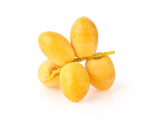 date palm on white background.