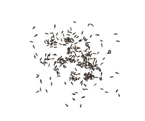 Pile bird niger seed (Guizotia abyssinica) isolated on white background