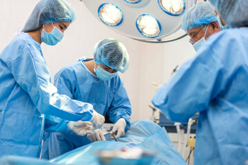 Professional anesthesiologist doctor medical team preparing patient to gynecological surgery...