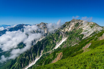 白馬三山を眺める（小蓮華岳付近より）