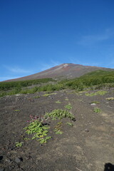 Mt Fuji, Japan (富士山)