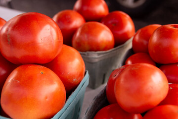 red tomatoes in a basket