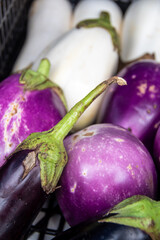 eggplants for sale at farmer's market