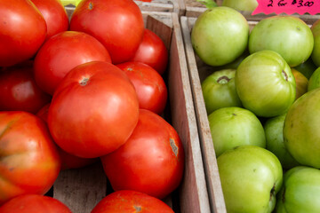 red and green tomatoes